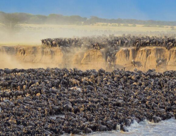 The Great Serengeti Migration Safari 7 Days